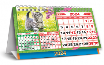 БОЛЬШОЙ настольный перекидной календарь-домик на 2024 год "Милые котята" КДБ-24-014