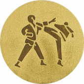 Вкладыш для медалей Карате (золото) AM1-78-G