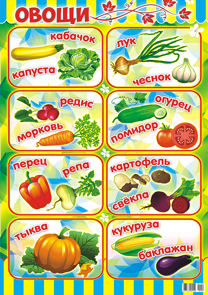 Таблички огород на окне в детском саду. Плакат овощи для детского сада. Таблички с овощами на огород в детском саду. Овощи плакат для детей. Обучающие плакаты для детского сада.
