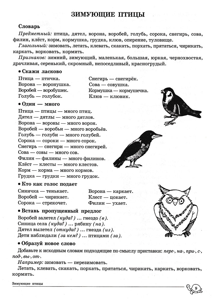 Домашняя логопедическая тетрадь: Учим слова и предложения для детей 5-6 лет. Тет