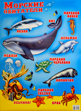 Плакат-постер А2 "Морские животные" ПД-013 (без лака)
