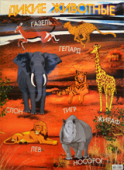 Плакат-постер А2 "Африканские животные" ПД-025
