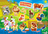 Плакат-постер А2 "Домашние животные" ПД-053