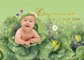 Папка д/свидетельства о рождении А5 "Малыш в капусте" ламинат 03314