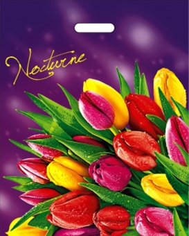 Пакет ПВД с вырубной ручкой "Ноктюрн" ПВ4050Нн