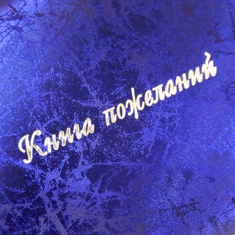 Книга пожеланий на свадьбу "Паутинка синяя" КПМ-174