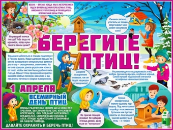 Обучающий плакат "Берегите птиц" P2-292