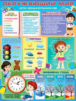 Плакат "Окружающий мир" P2-576