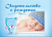 Папка д/свидетельства о рождении А5 "Медвежонок с цветком" 03309