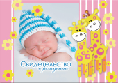 Папка д/свидетельства о рождении А5 "Два жирафа" ламинат 03334