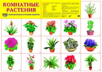 Демонстрационный плакат "Комнатные растения"