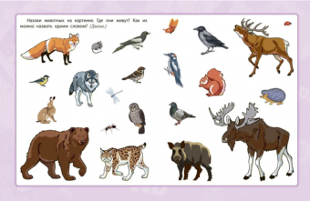 Сборник развивающих заданий "Развитие речи" 6661г