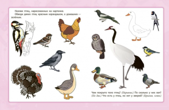 Сборник развивающих заданий "Что меня окружает" 6661д