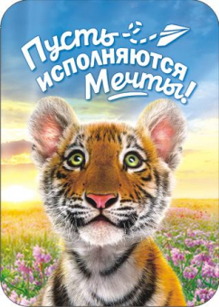 Магнит виниловый 50х70мм "Пусть исполняются мечты" МВМ-009