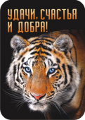 Магнит виниловый 50х70мм "Удачи, счастья и добра" МВМ-010