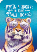 Магнит виниловый 50х70мм "Пусть в жизни не будет чёрных полос" МВМ-021