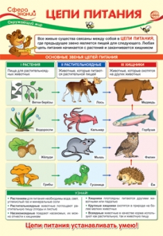 Школьный плакат "Окружающий мир в начальной школе. Цепи питания" ПО-13974