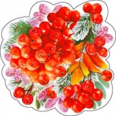 Украшение на скотче "Рябина" 113-03