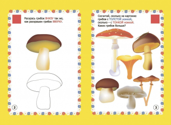 Сборник развивающих заданий "Ознакомление с окружающим миром. Мир грибов, лесных ягод в заданиях и играх" 5-7 лет 3800и