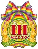 Картонная медаль за спортивные достижения "2 место" М-6391