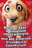 Открытка "Когда к тебе я..." 0694.932