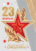 Мини-открытка "23 февраля" 2-79-23073