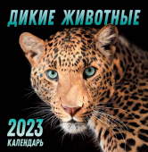 СРЕДНИЙ перекидной настенный календарь на скрепке на 2023 год "Дикие животные" ПК-23-063