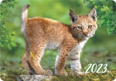 Карманный календарь на 2023 год "Дикие животные" КГ-23-449