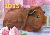 Карманный календарь на 2023 год "Домашние любимцы" КГ-23-472