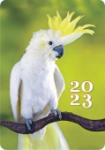 Карманный календарь на 2023 год "Домашние любимцы" КГ-23-479