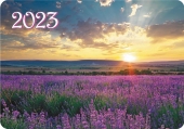 Карманный календарь на 2023 год "Полевые цветы" КГ-23-521