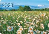Карманный календарь на 2023 год "Полевые цветы" КГ-23-522