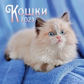 МАЛЫЙ перекидной настенный календарь на скрепке на 2023 год "Кошки" МПК-23-021