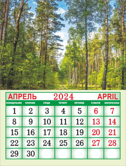 Календарь на магните на 2024 год "Природа. Солнечная тропа" КМО-24-015 (в упаковке)