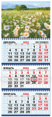 Квартальный календарь на 2024 год "Полевые цветы. Ромашки" КТ-24-197 (в упаковке)