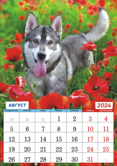 Перекидной настенный календарь на ригеле на 2024 год "Собачки. Самый милый друг" РБ-24-020 (без упаковки)