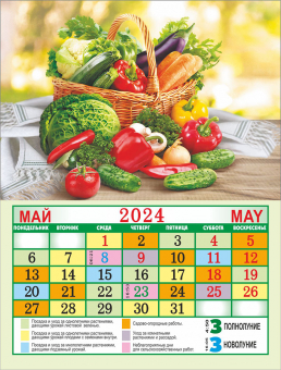 Календарь на магните на 2024 год "Сад-Огород" КМО-24-027 (в упаковке)