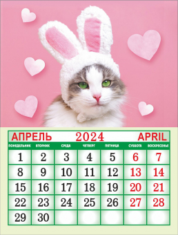 Календарь на магните на 2024 год "Забавные коты" КМО-24-026 (в упаковке)