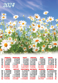 Листовой календарь на 2024 год А2 "Полевые цветы. Солнечные ромашки" ПО-24-523