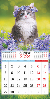 БОЛЬШОЙ перекидной настенный календарь на скрепке на 2024 год "Кошки" БПК-24-016 (без упаковки)