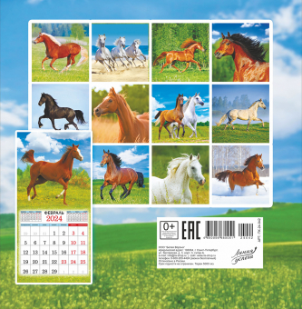 СРЕДНИЙ перекидной настенный календарь на скрепке на 2024 год "Лошади" ПК-24-042 (без упаковки)