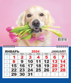 Одноблочный настенный календарь на 2024 год "Собаки. Милый друг" (мини) КММ-24-023