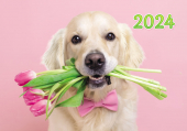 Карманный календарь 2024 "Собака" КГ-24-343