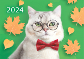 Карманный календарь 2024 "Кошки. Пушистый Гарри" КГ-24-312