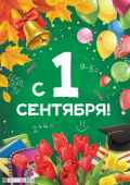 Обучающий плакат "С 1 сентября" ПОК-135