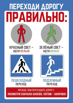 Набор плакатов с настольными фигурами "Юные пешеходы" 59,479,00