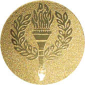 Вкладыш для медалей Факел (золото) AM1-4-G