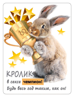 Магнит виниловый "Кролик в сексе чемпион" 15.16.01425