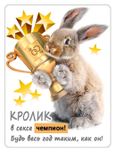 Магнит виниловый "Кролик в сексе чемпион" 15.16.01425