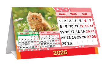БОЛЬШОЙ настольный перекидной календарь-домик на 2026 год "Милые котята" КДБ-26-014